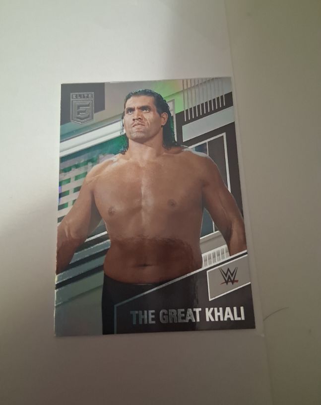 2022 Panini Chronicles Elite WWE The Great Khali #255 — front