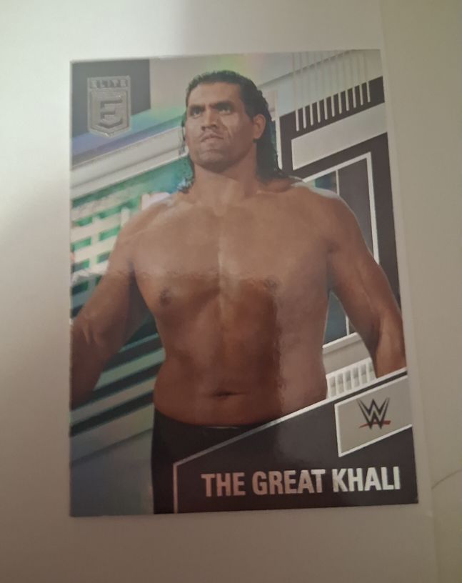 2022 Panini Chronicles Elite WWE #255 The Great Khali — front