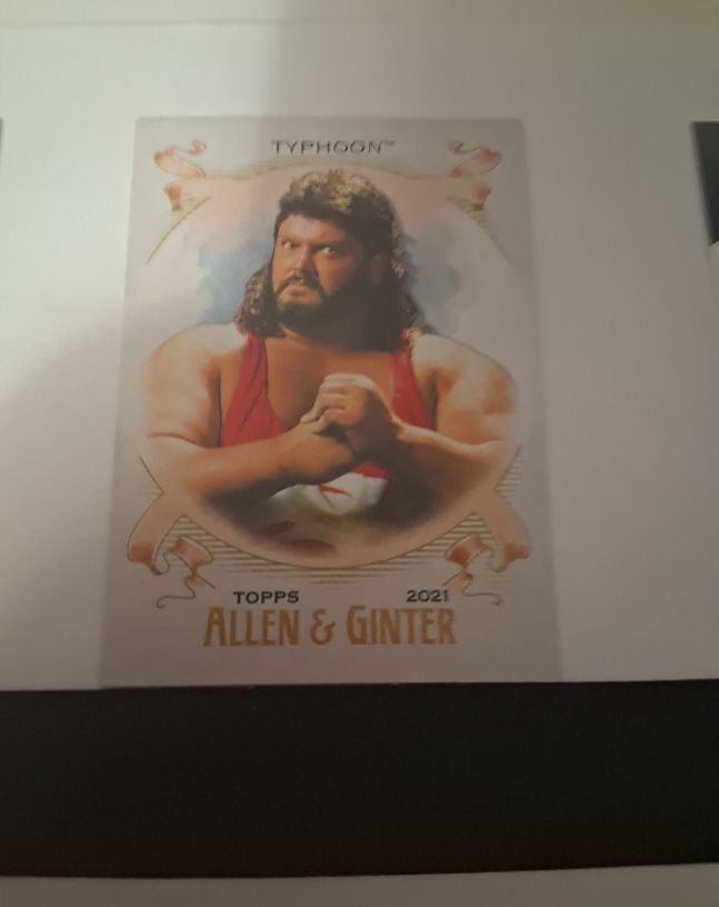 2021 Topps Heritage WWE Allen & Ginter #AG-22 Typhoon — front