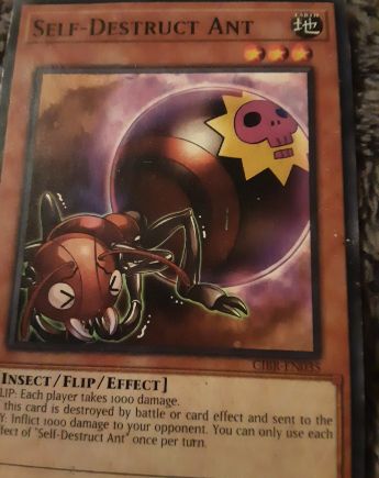 2017 Yu-Gi-Oh! Circuit Break #CIBR-EN035 Self-Destruct Ant — front