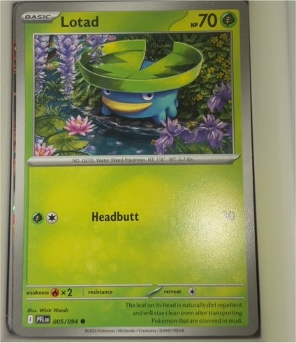 2023 Pokémon Phantasmal Flames #005 Lotad — front