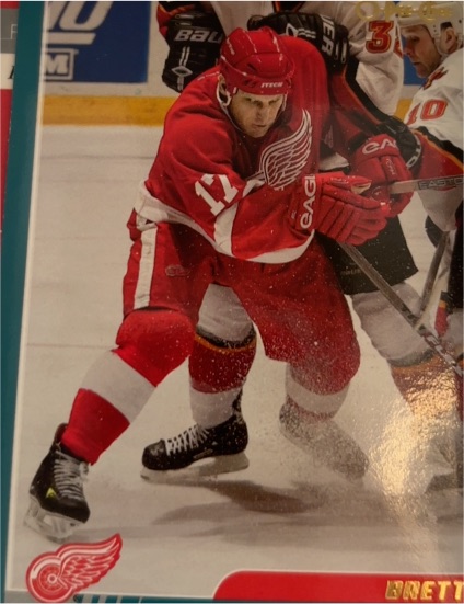 2003-04 O-Pee-Chee #270 Brett Hull — front