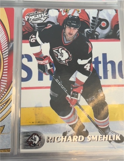 1993-94 Pacific #521 Richard Smehlik — front