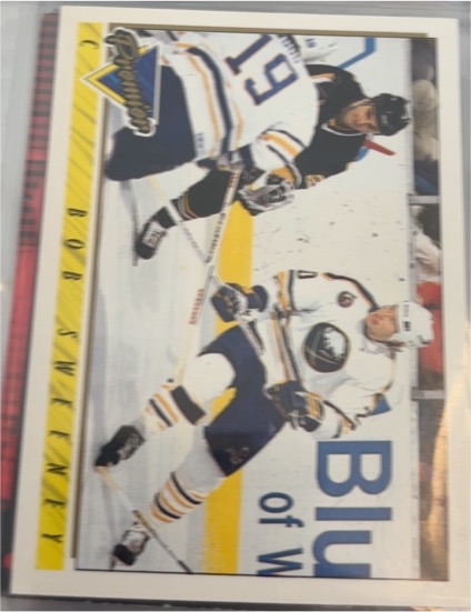 1993-94 Topps Premier #431 Bob Sweeney — front