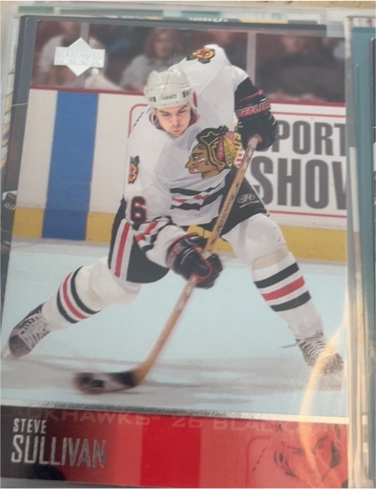 2003-04 Upper Deck #285 Steve Sullivan — front