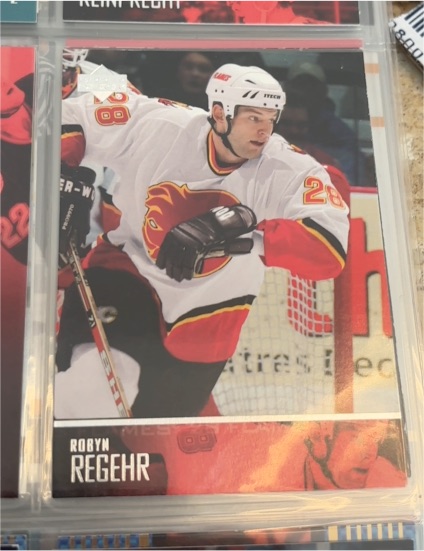 2008-09 Upper Deck #281 Robyn Regehr — front