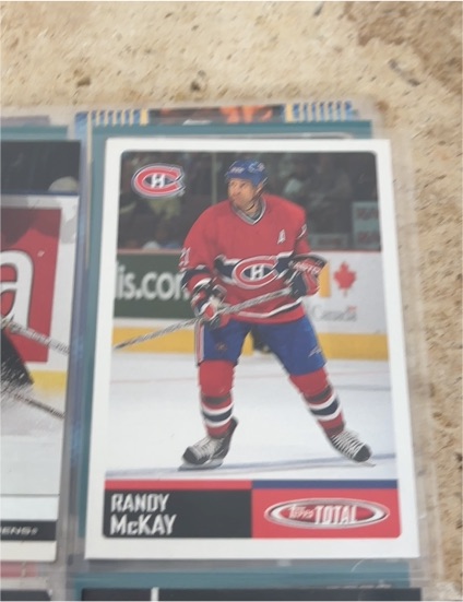 2002-03 Topps Total #66 Randy McKay — front