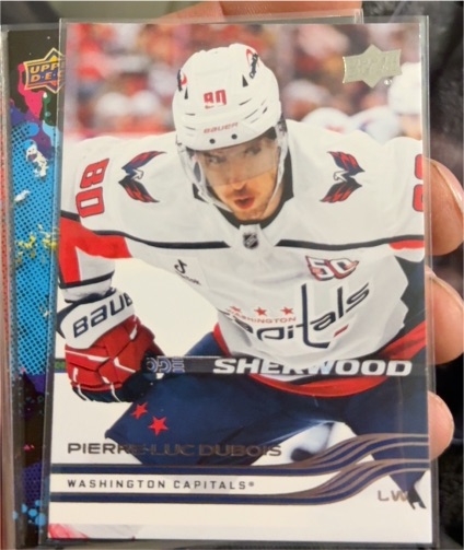 2025-26 Upper Deck Series 1 #189 Pierre-Luc Dubois — front