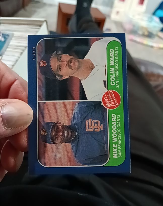 1986 Fleer #645 Mike Woodard / Colin Ward — front