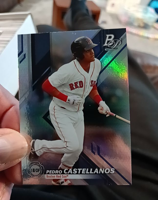 2019 Bowman Platinum Top Prospects #TOP-87 Pedro Castellanos — front