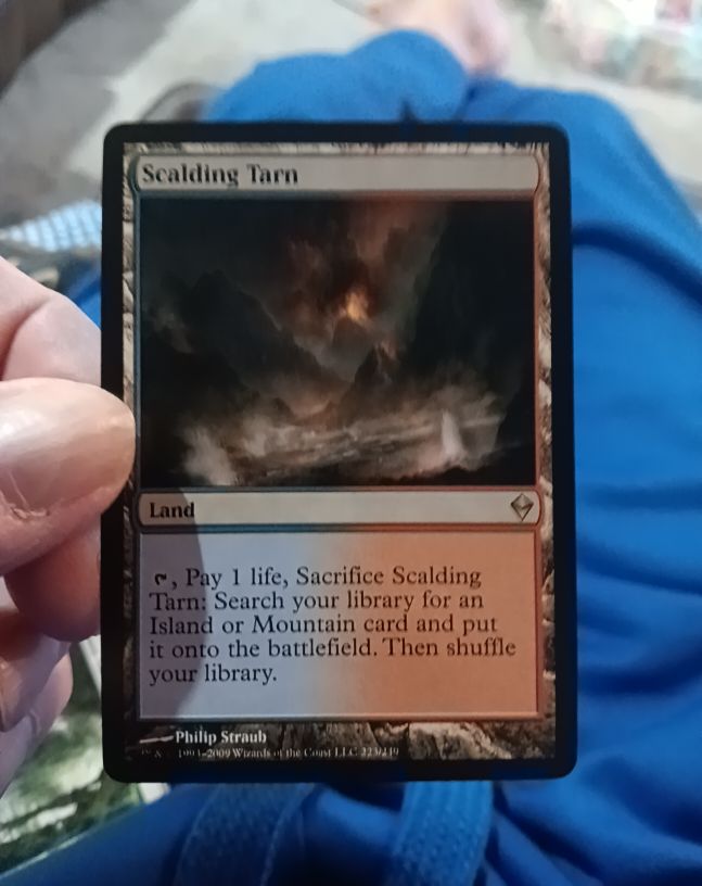 2009 Magic: The Gathering #223 Scalding Tarn — front