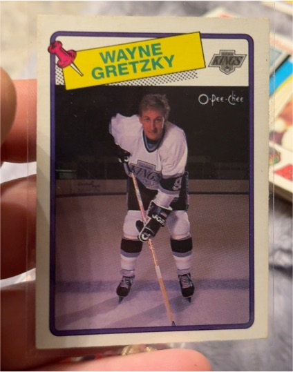 1988-89 O-Pee-Chee #120 Wayne Gretzky — front