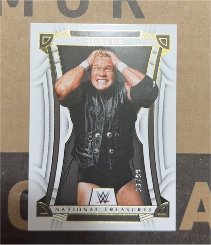 2023 Panini Chronicles WWE National Treasures #NT-25 Sycho Sid — front