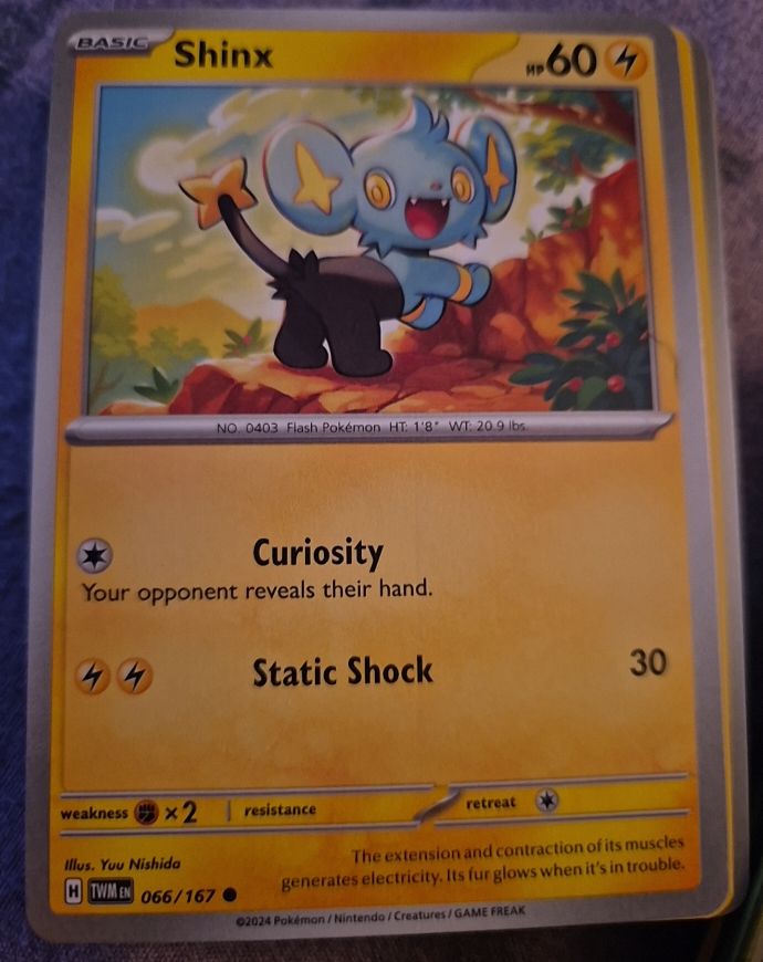 2024 Pokémon #066 Shinx — front
