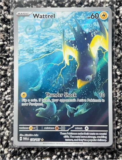 2024 Pokémon SV06: Twilight Masquerade #178/167 Wattrel — front