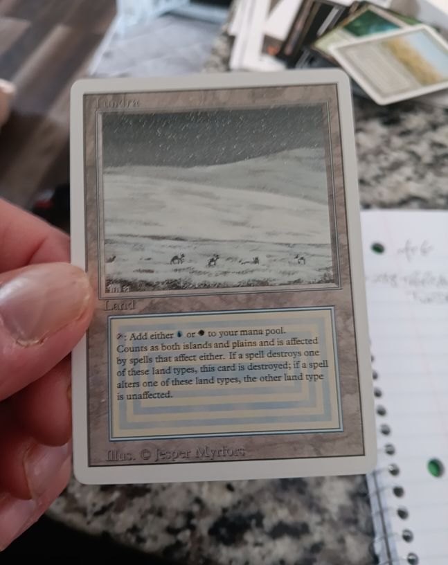 1994 Magic: The Gathering #3 Tundra — front