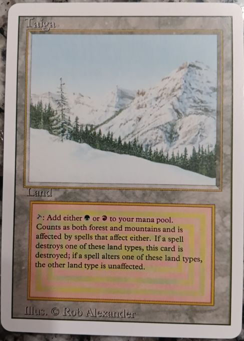 1994 Magic: The Gathering Taiga — front