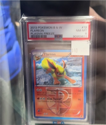 2013 Pokemon Black & White Plasma Freeze #12 Flareon — front
