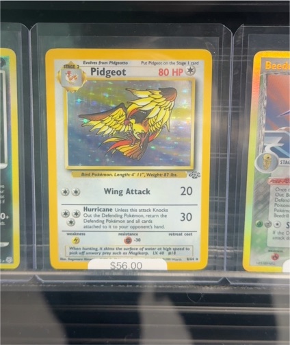 1999 Pokémon Jungle #8/64 Pidgeot — front