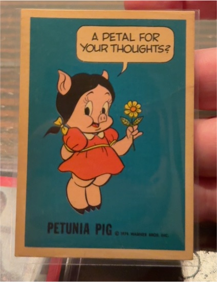 1974 Warner Bros Petunia Pig National Periodical Card — front