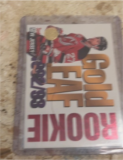 1993-94 Leaf Gold Leaf Rookie #14 Scott Niedermayer — front