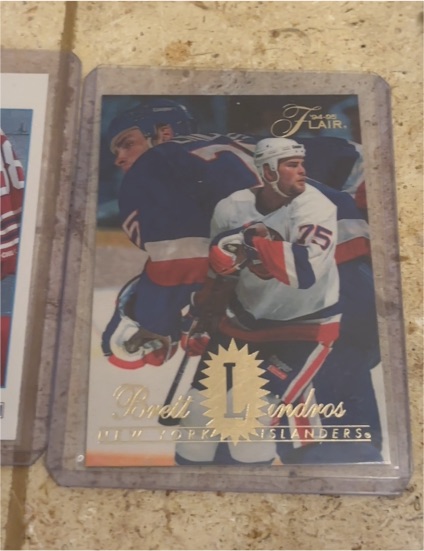 1994-95 Flair #104 Brett Lindros — front
