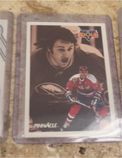 1991-92 Pinnacle The Idols #388 Ed Belfour/Tony Esposito — front