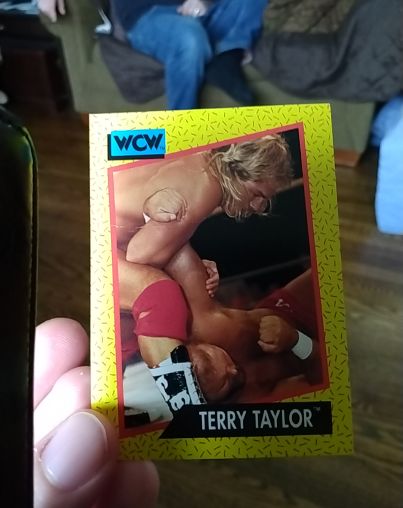 1991 Impel WCW #71 Terry Taylor — front