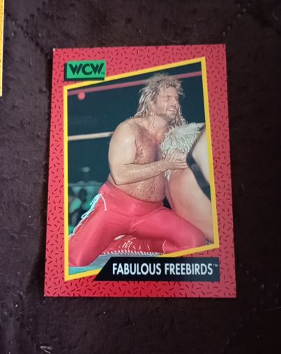 1991 Impel WCW #120 Fabulous Freebirds — front
