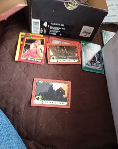 1993 Topps Jurassic Park Trading Cards — front
