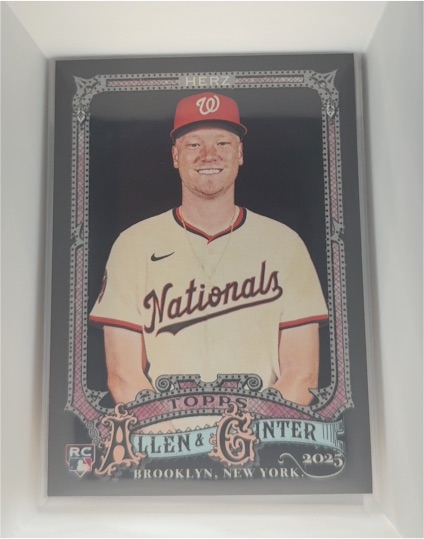2025 Topps Allen & Ginter X #237 DJ Herz — front