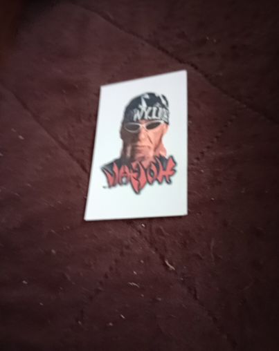1999 WCW NWO Hulk Hogan Sticker — front