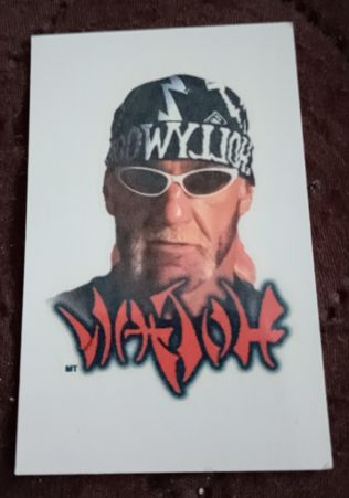 1999 WCW Crazy Planet Sticker Hollywood Hulk Hogan — front