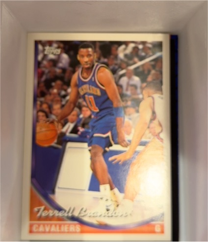 1993-94 Topps #183 Terrell Brandon — front