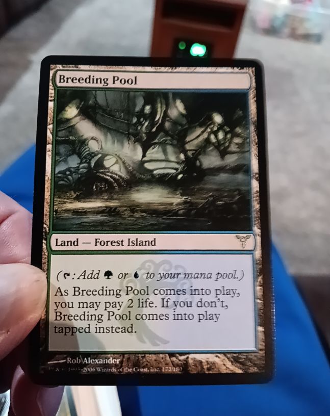 2013 Magic: The Gathering #240 Breeding Pool — front