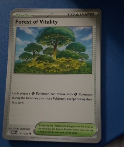 2025 Pokemon Mega Evolution #117 Forest of Vitality — front