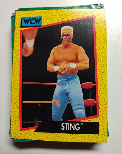 1991 Impel WCW #10 Sting — front