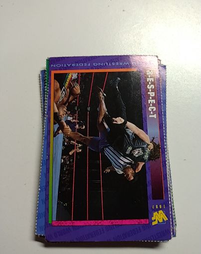 1991 WWF Wrestling Card #RESPECT — front