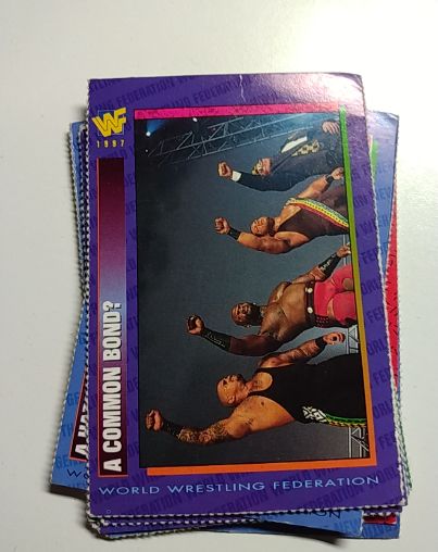 1987 WWF #A Common Bond? — front