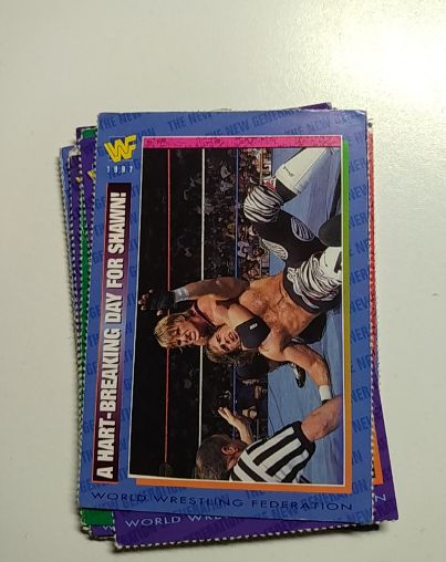 1991 Classic WWF Superstars #29 Shawn Michaels — front