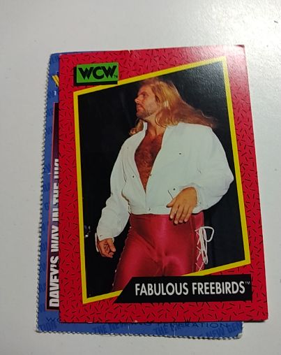 1991 Impel WCW #125 Fabulous Freebirds — front