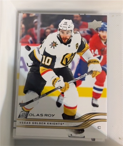2025-26 Upper Deck #182 Nicolas Roy — front