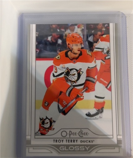 2025-26 Upper Deck #OG-23 Troy Terry O-Pee-Chee Glossy — front