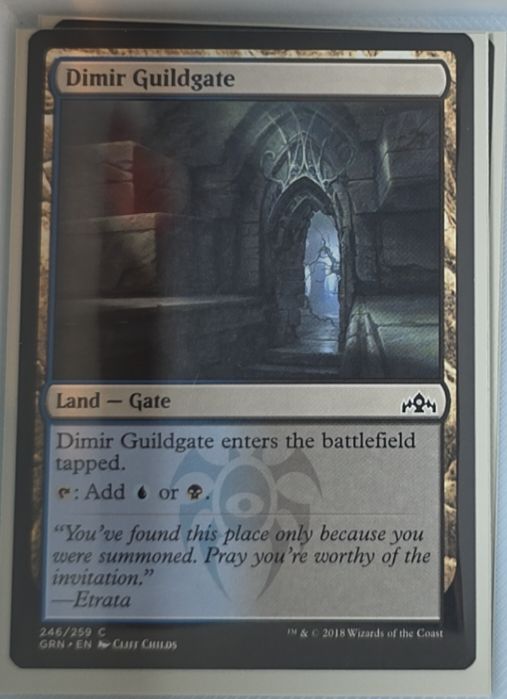 2018 Magic: The Gathering #246 Dimir Guildgate — front