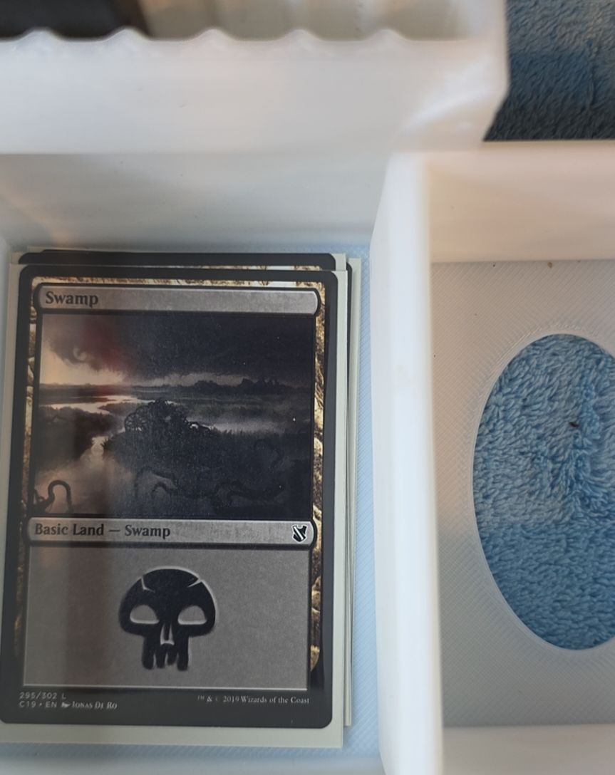 2019 Magic: The Gathering #295 Swamp — front