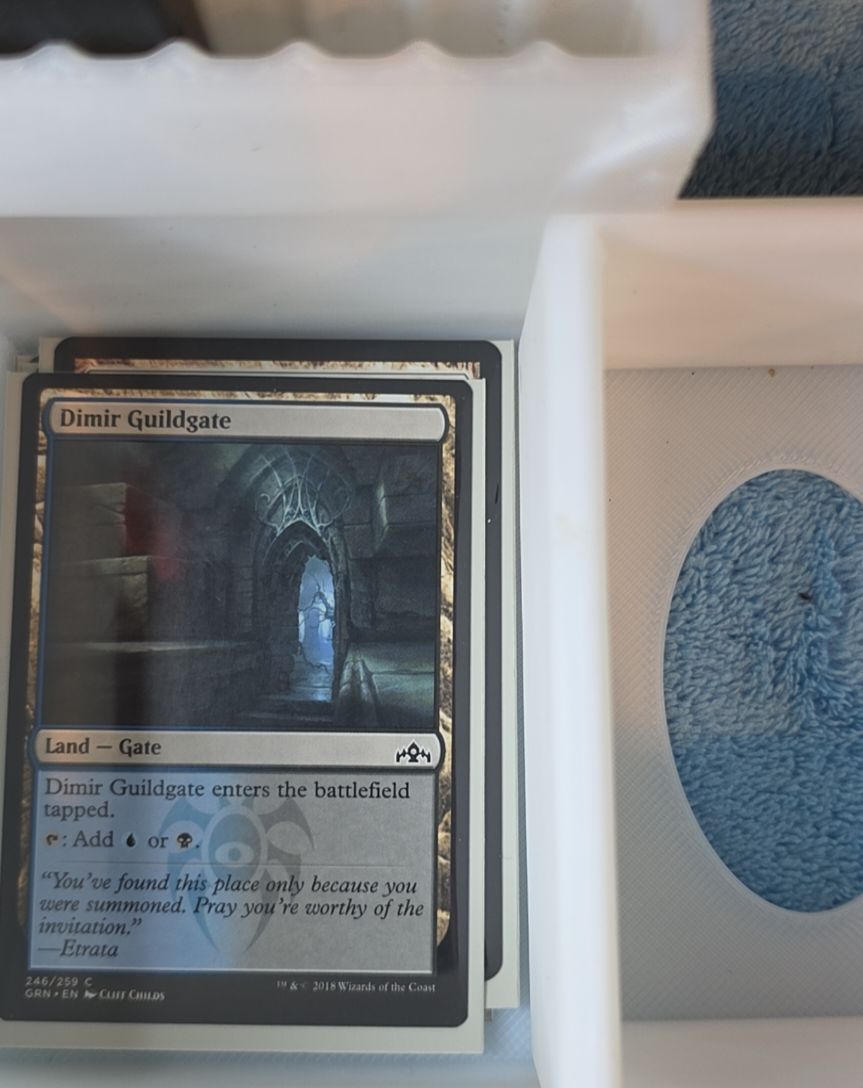 2018 Magic: The Gathering Guilds of Ravnica #246 Dimir Guildgate — front