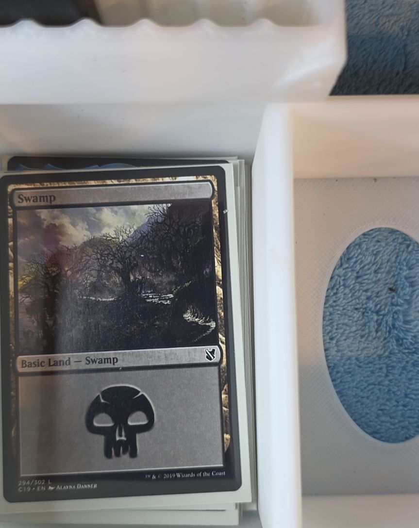 2019 Magic: The Gathering #294 Swamp — front