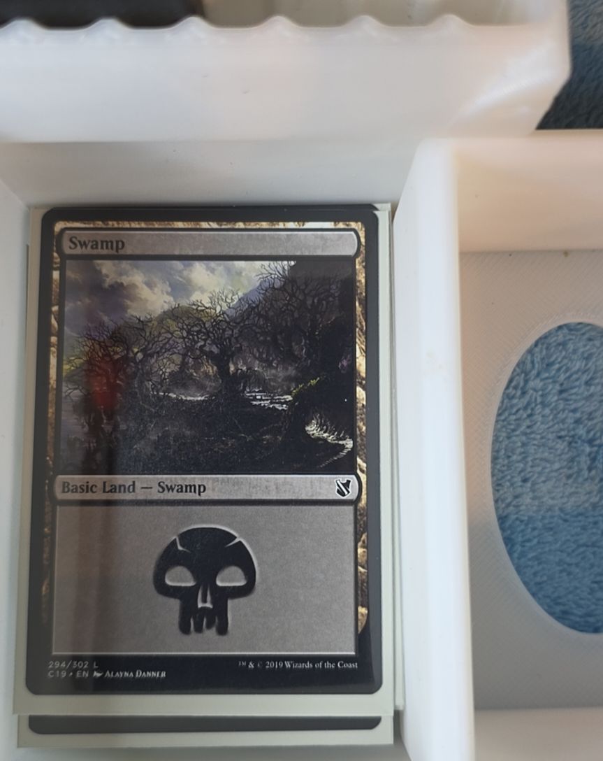 2019 Magic: The Gathering #294 Swamp — front