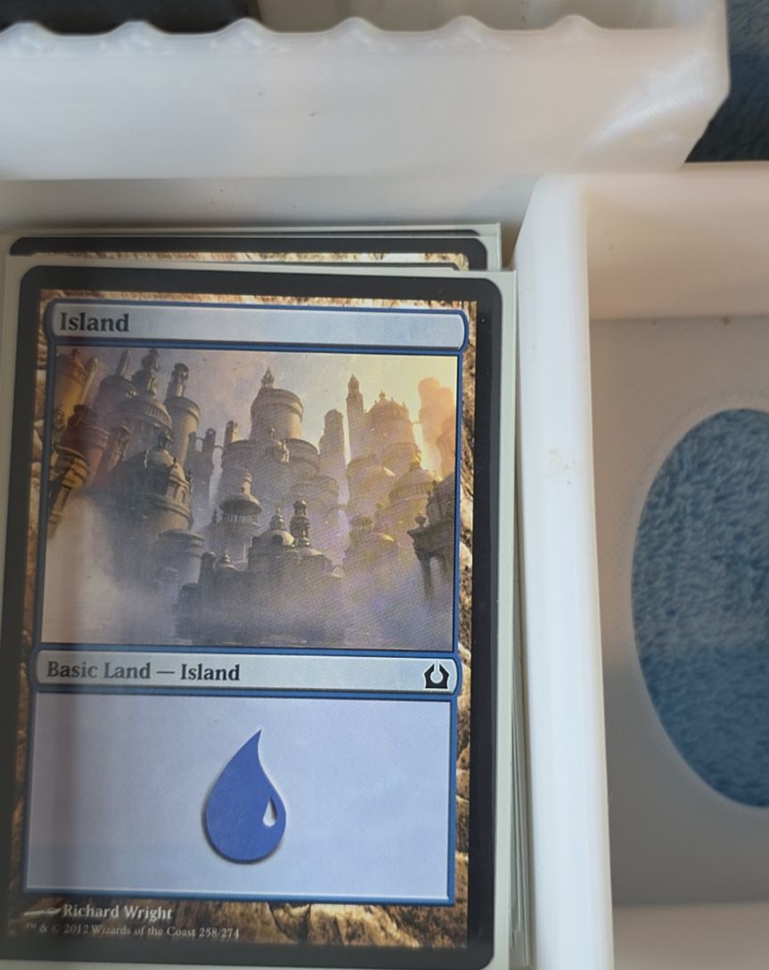 2012 Magic the Gathering Return to Ravnica #258 Island Richard Wright — front