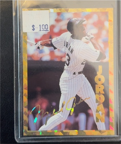 1993-94 Stadium Sports #69 Michael Jordan — front